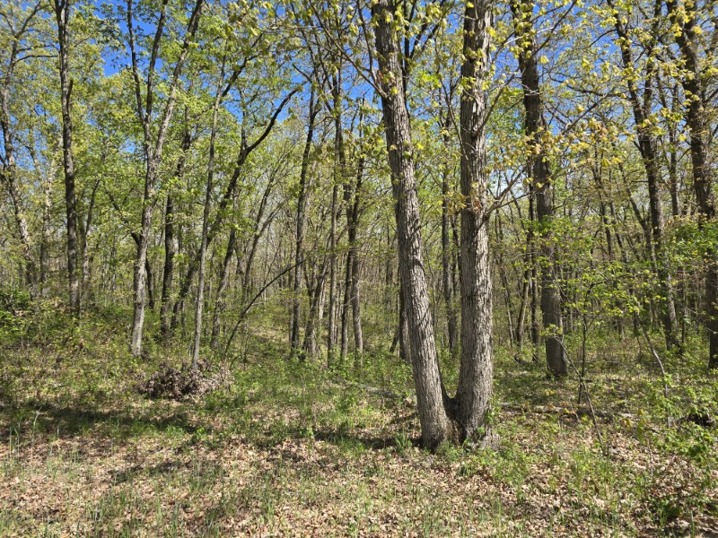 Listing photo 52